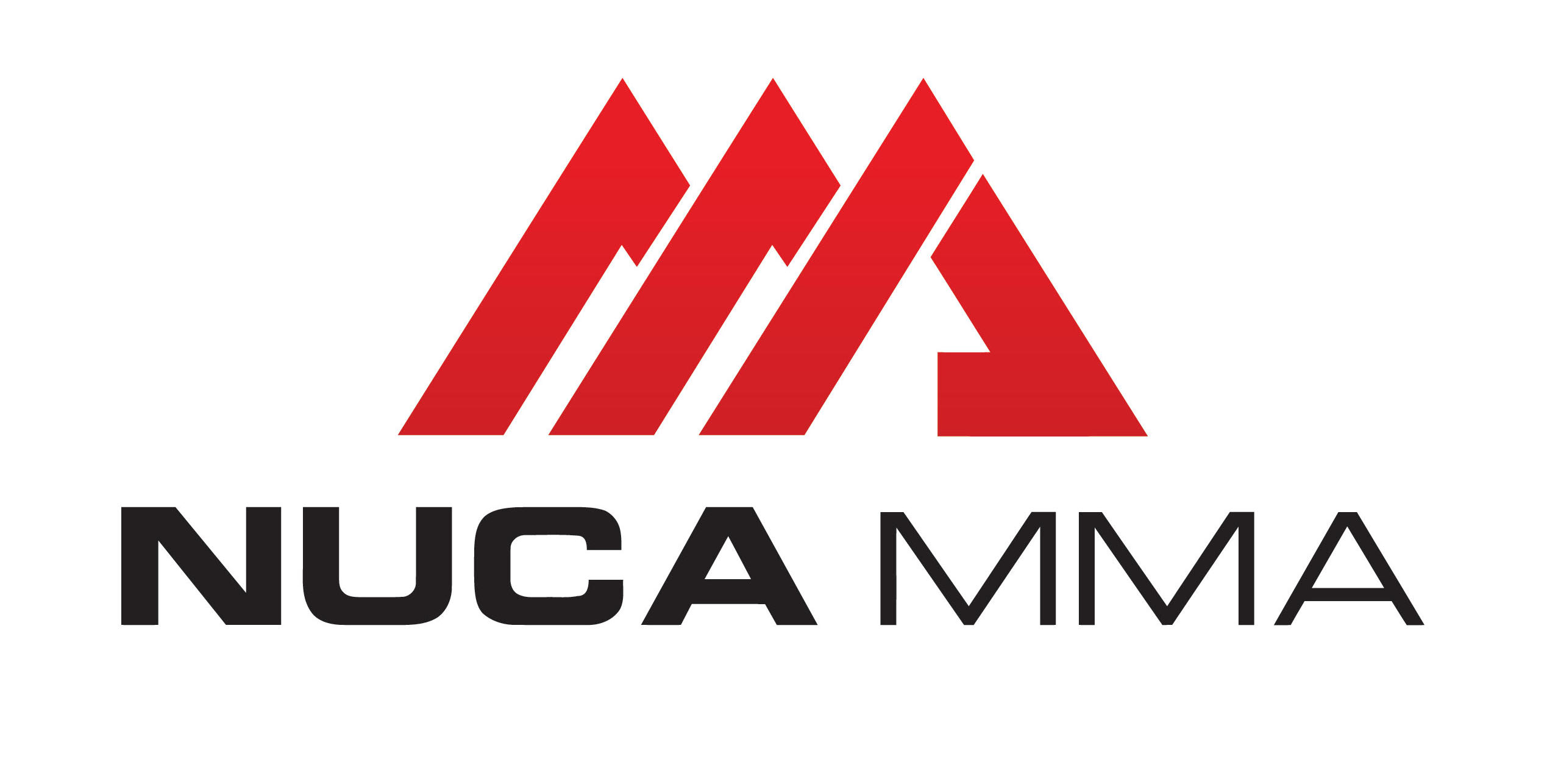 Nuca logo dec