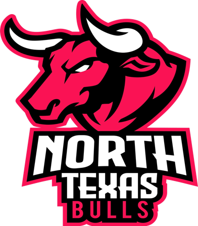 Bulls logo