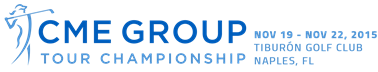 2015 cme group website logo