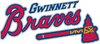 Sponsorpitch & Gwinnett Braves
