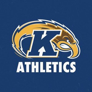 Sponsorpitch & Kent State Golden Flashes