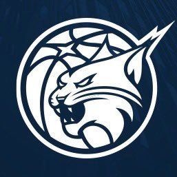 Sponsorpitch & Minnesota Lynx