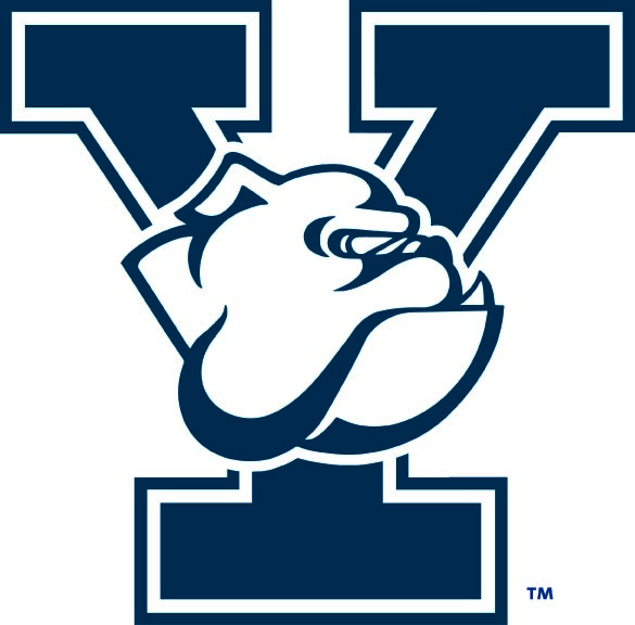 Ydog