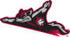 Sponsorpitch & Richmond Flying Squirrels