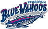 Sponsorpitch & Pensacola Blue Wahoos