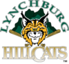 Sponsorpitch & Lynchburg Hillcats