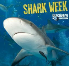 Sponsorpitch & Discovery Channel's Shark Week