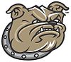 100px bryantbulldog head