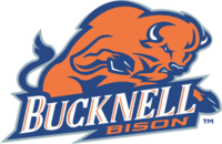 Sponsorpitch & Bucknell Bison