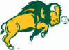 Sponsorpitch & North Dakota State Bison