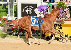 Sponsorpitch & California Chrome