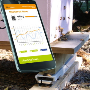 Sponsorpitch & Wifi bees - Bee Education Project