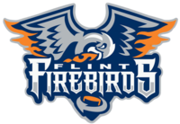 Sponsorpitch & Flint Firebirds