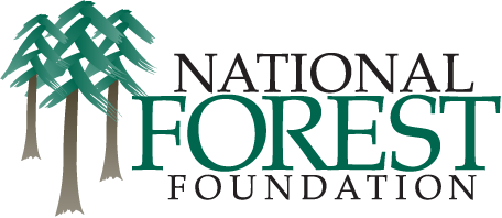 Nff logo 2 2x