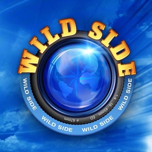 Sponsorpitch & Wildside-TV