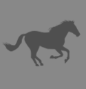 Sponsorpitch & Nyquist