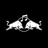 Sponsorpitch & Red Bull Music Academy