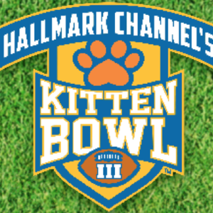 Sponsorpitch & Kitten Bowl