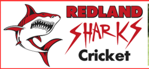 Sponsorpitch & Redland Sharks