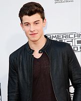 Sponsorpitch & Shawn Mendes