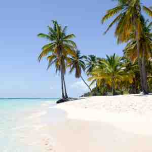 Sponsorpitch & Beach-Inspector.com
