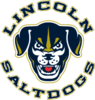Sponsorpitch & Lincoln Saltdogs