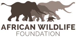 Sponsorpitch & African Wildlife Foundation 