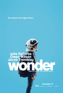 Sponsorpitch & Wonder