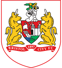 Sponsorpitch & Bristol City FC