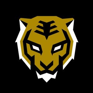 Sponsorpitch & Seoul Dynasty