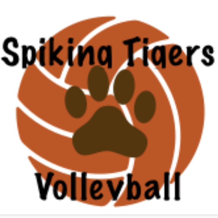 Sponsorpitch & Spiking Tigers Volleyball