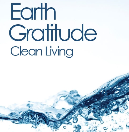 Sponsorpitch & Earth Gratitude Project