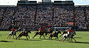 Sponsorpitch & Stadium Naming Rights RFP for Campo de Polo