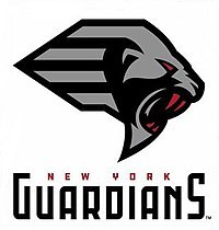 Sponsorpitch & New York Guardians