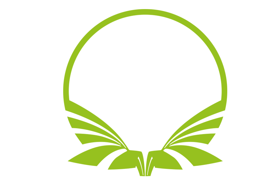 Team singularity