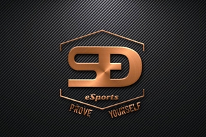 Sponsorpitch & DES ESPORTS