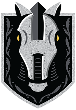 245px henderson silver knights