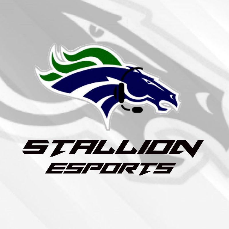 Sponsorpitch & Stallion Esports