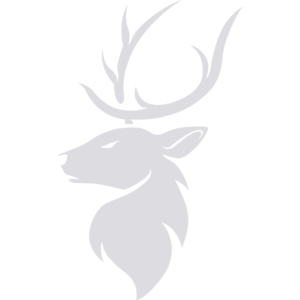 Sponsorpitch & Triumph eSports
