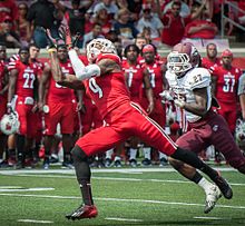 Devante parker catching a pass 2013 (cropped)