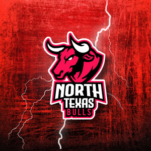 Sponsorpitch & North Texas Bulls Arena Football