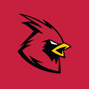 Sponsorpitch & Bayou Lacombe Cardinals 