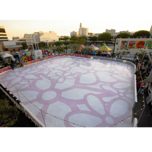 Sponsorpitch & Ice at Santa Monica