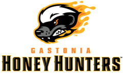 Sponsorpitch & Gastonia Honey Hunters