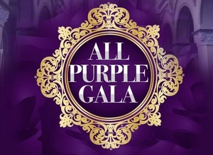 Sponsorpitch & All Purple Gala 