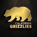 Sponsorpitch & California Grizzlies Rugby 