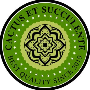 Sponsorpitch & CES Plant Trading Incorporated