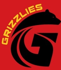 Sponsorpitch & Golden State Grizzlies of Sunoco Minor League Cricket 