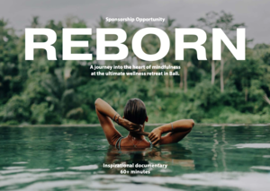 Sponsorpitch & REBORN