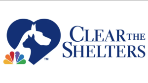 Sponsorpitch & Clear The Shelter's